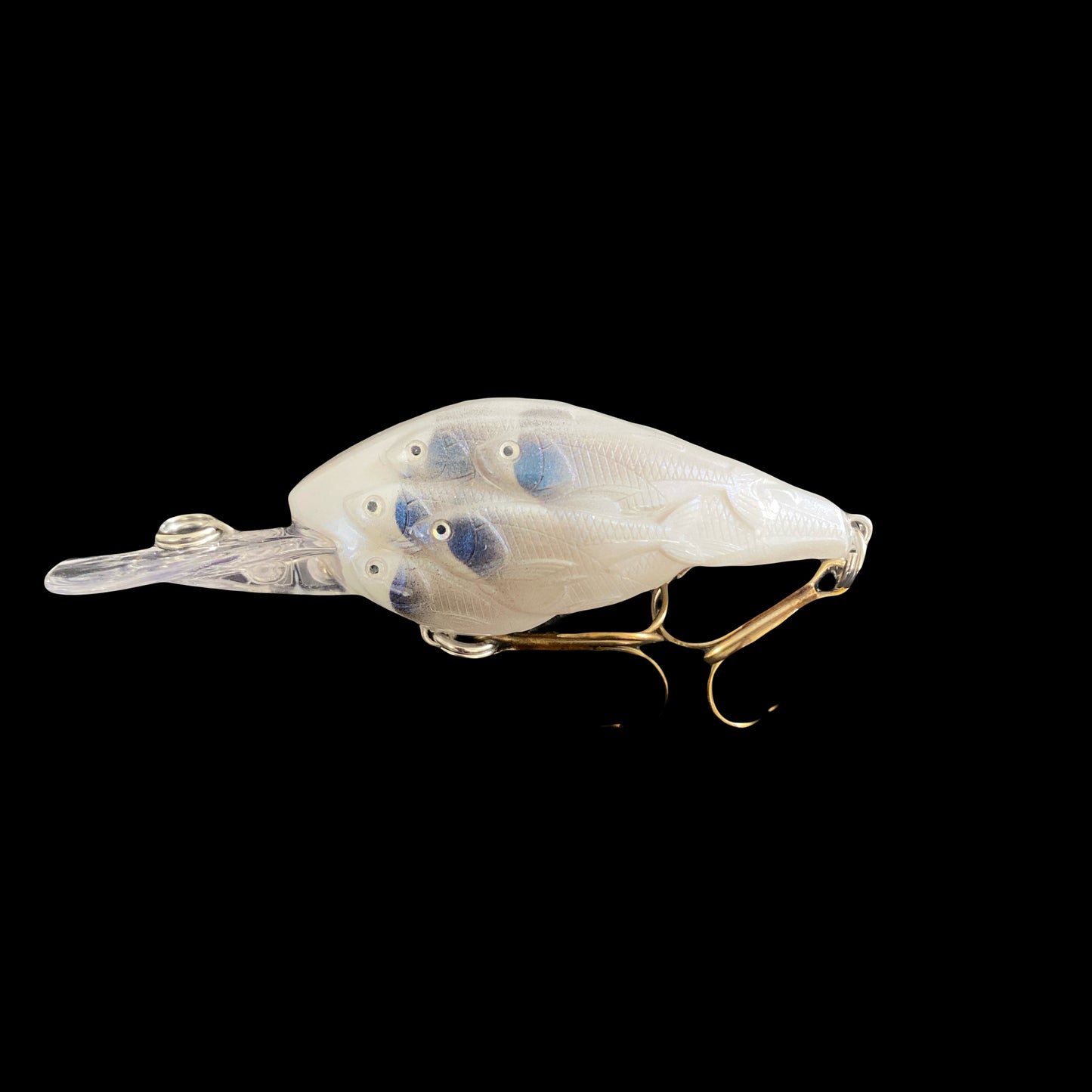 Baby Blue Shad